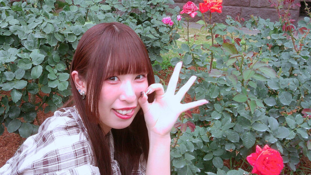 「ローラ」という品種のバラと、ローラのマネをするかなち